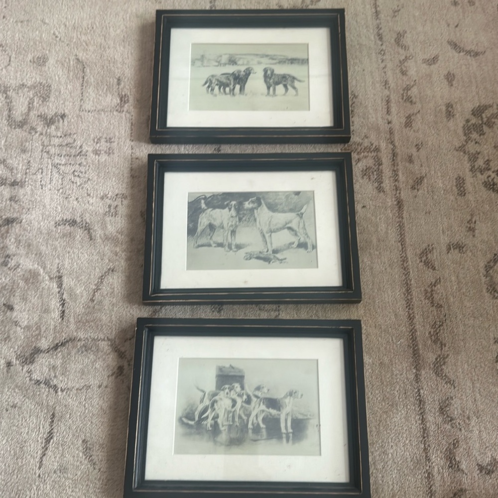 Creative co-op black white vintage picture frames with dogs